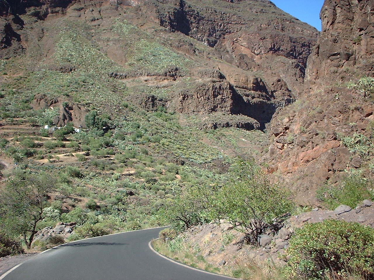 Fataga-vägen genom Gran Canarias bergiga inland med kaktus och raviner