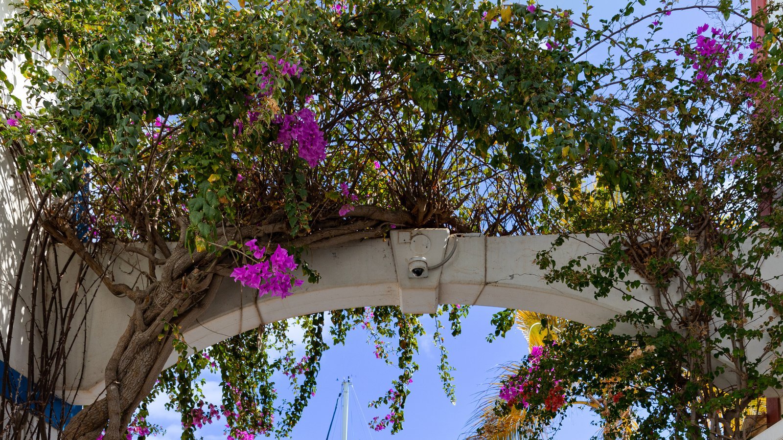 Puerto de Mogán hamn drönarbild Gran Canaria