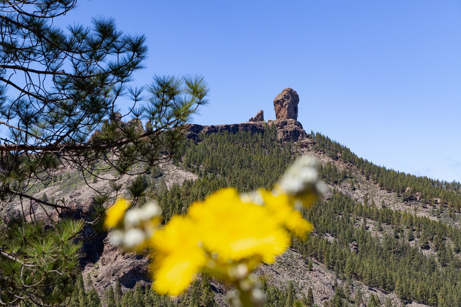 Roque Nublo Gran Canaria berg