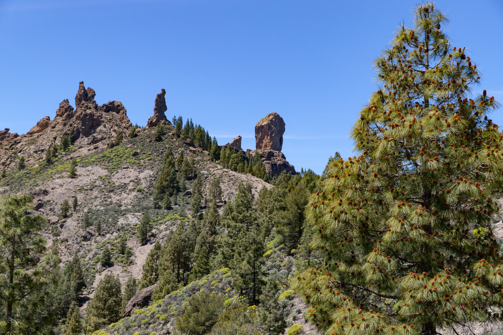 Roque Nublo landskap bergsutsikt Gran Canaria